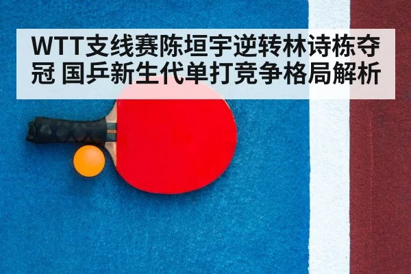 table tennis racket