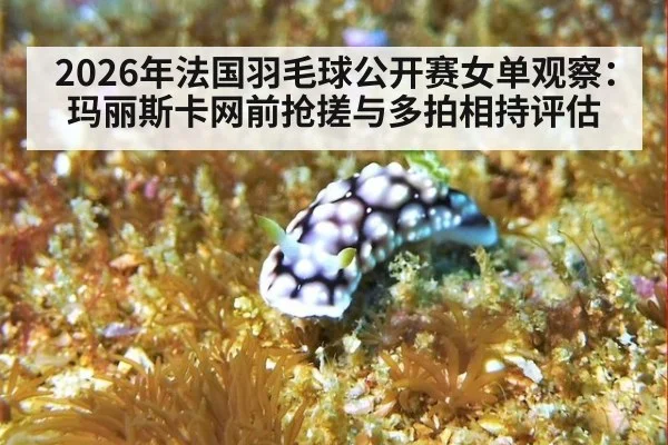 2026年法国羽毛球公开赛女单观察：玛丽斯卡网前抢搓与多拍相持评估